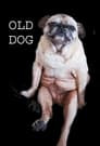 Old Dog