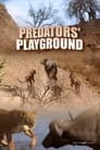 Predator's Playground