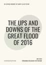 The Ups and Downs of the Great Flood of 2016