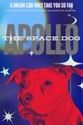 Apollo: The Space Dog