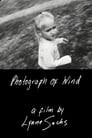 Photograph of Wind