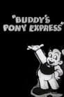 Buddy's Pony Express