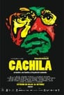 Cachila