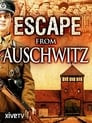 Escape from Auschwitz