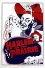 Harlem on the Prairie