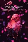 Ayumi Hamasaki Countdown Live 2012-2013 A: Wake Up