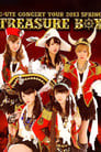 ℃-ute 2013 Spring ~Treasure Box~