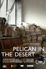 Pelican in the Desert