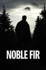 Noble Fir