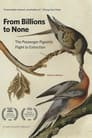 From Billions to None: The Passenger Pigeon's Flight to Extinction