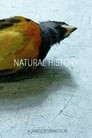 Natural History