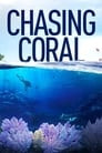 Chasing Coral