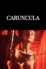 Caruncula