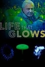 Attenborough's Life That Glows