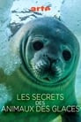 Les Secrets des Animaux des Glaces