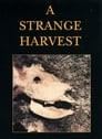 A Strange Harvest