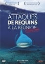Attaques de Requins à La Réunion : L'enquête