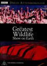 The Greatest Wildlife Show on Earth