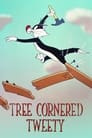 Tree Cornered Tweety