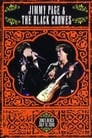 Jimmy Page & The Black Crowes - Live at Jones Beach