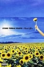 Stone Temple Pilots: Thank You - Music Videos