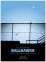 Ballhawks