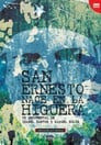 San Ernesto nace en la Higuera