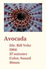 Avocada