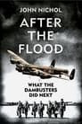 What the Dambusters Did Next