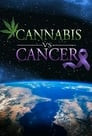 Cannabis VS Cancer