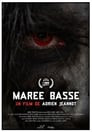 Marée Basse