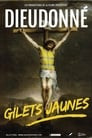 Dieudonné - Gilets Jaunes