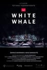 White Whale