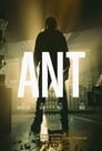 Ant