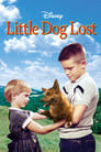 Little Dog Lost