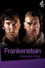 Frankenstein: A Modern Myth