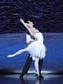 Graeme Murphy's Swan Lake