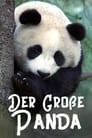 Der Große Panda