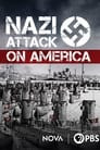 Nazi attack on america