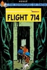 Flight 714