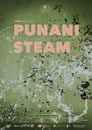 Punani Steam