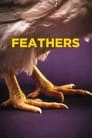 Feathers