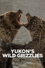 Yukon's Wild Grizzlies