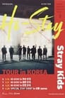 Stray Kids HI-STAY TOUR FINALE IN SEOUL