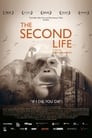 The Second Life