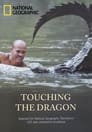 Touching the Dragon