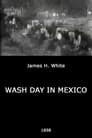 Wash Day in Mexico