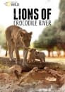 Lions of Crocodile River