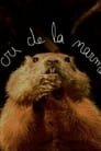 Le cri de la marmotte