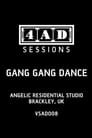 Gang Gang Dance - 4AD Session